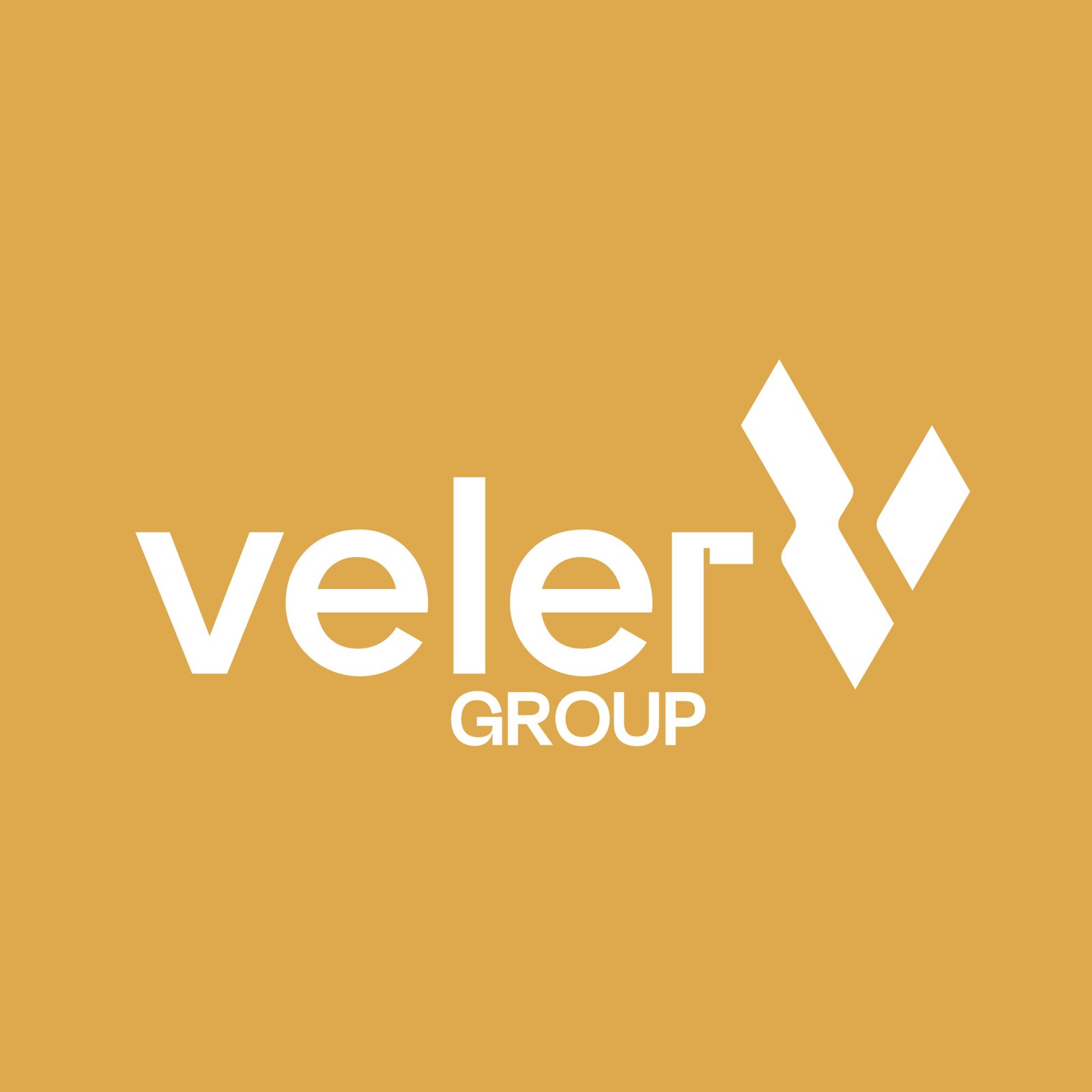 Veler Group Logo