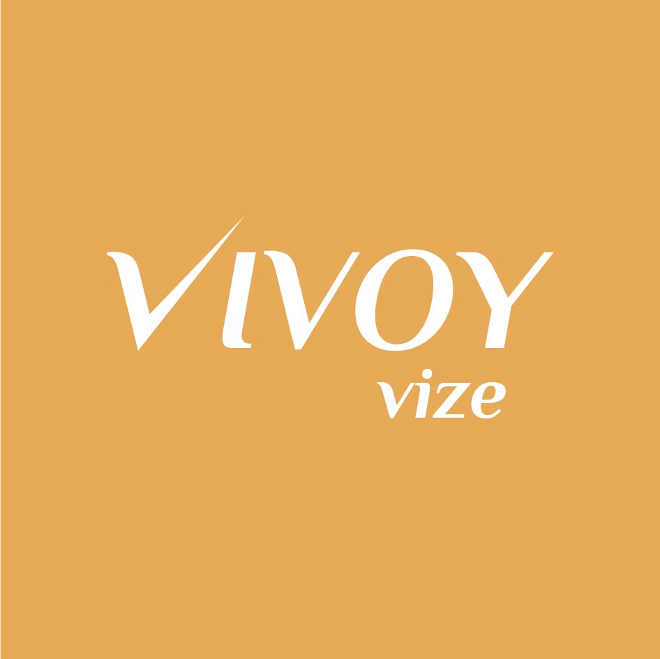 Vivoy Vize Logo