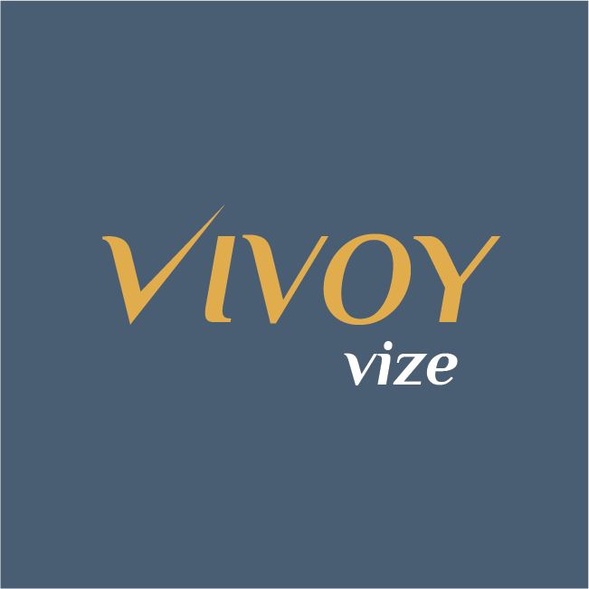 Vivoy Vize Logo
